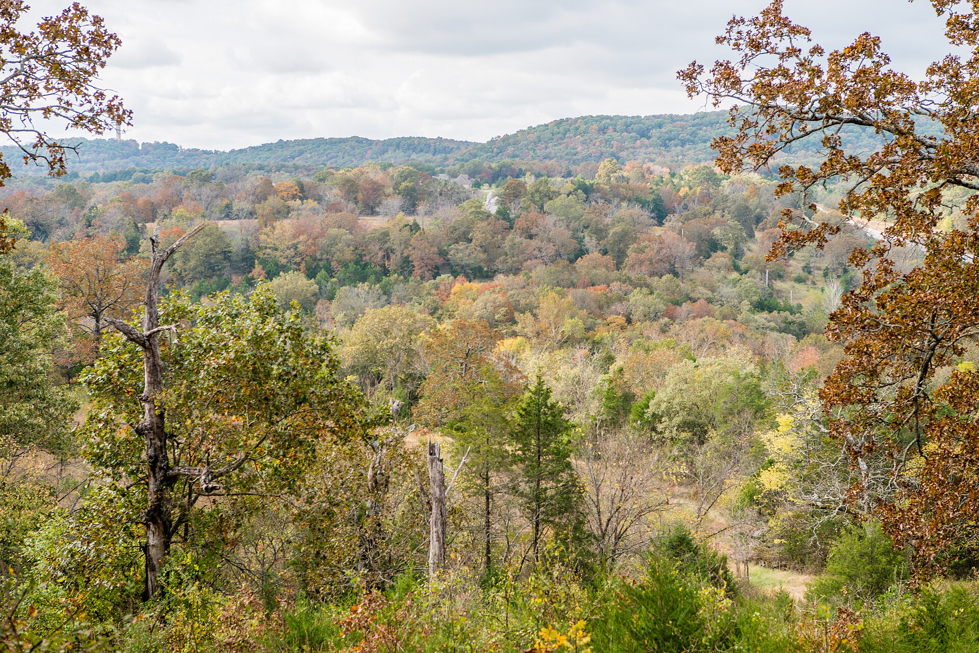 Forested Ozark hills near Table Rock Lake